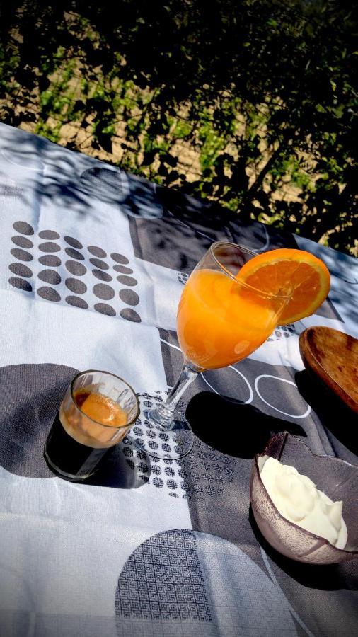 Guesthouse Du Moulin Saint-Cyr-sur-Mer Kültér fotó